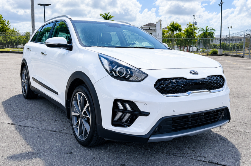 Kia Niro 2020 (Snow White Pearl)